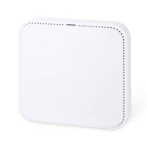 Planet PL-WDAP-C3000AX 2 Port Gigabit Dual Bant 3000Mbps Tavan Tipi Access Point