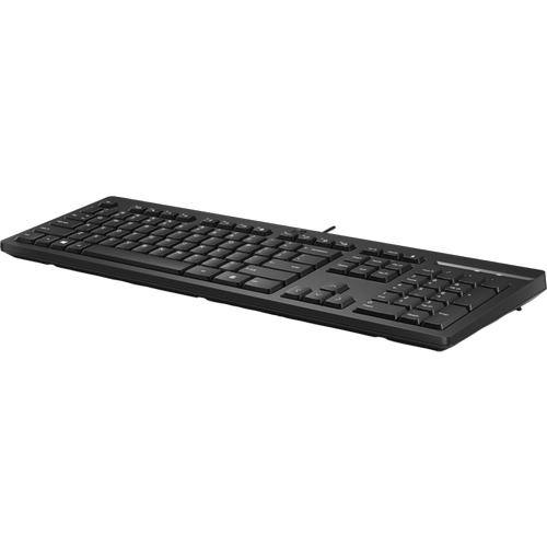 Hp 266C9AA 125 USB Q TR Siyah Standar Kablolu Siyah Klavye