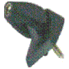 G�rsel 1